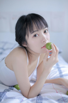 喜羊羊与灰太狼开心日记