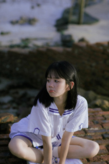 远去的飞鹰下载